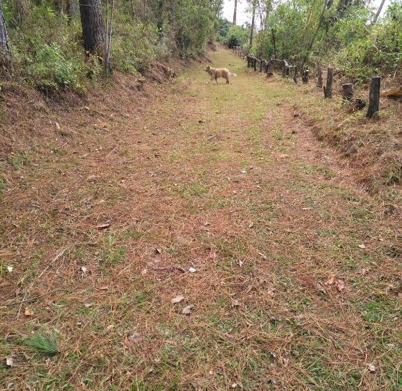 فندق Cabañas Don Camilo Albergue De Montaña