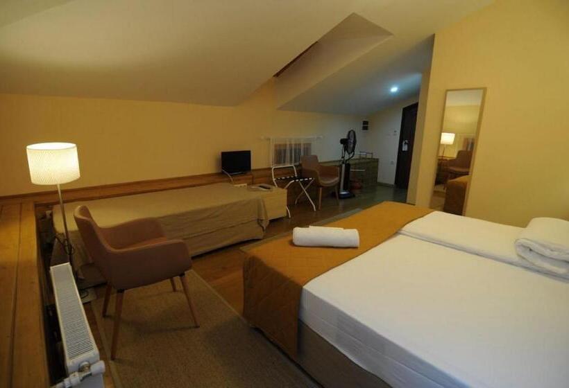 בית מלון כפרי Camlihemsin Tasmektep