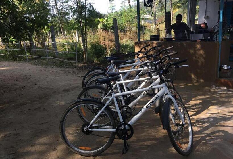 Отель Nannilam Organic Farm Stay