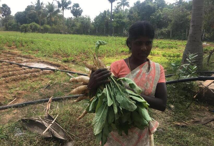 Отель Nannilam Organic Farm Stay