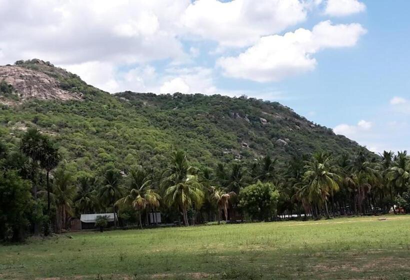 Отель Nannilam Organic Farm Stay
