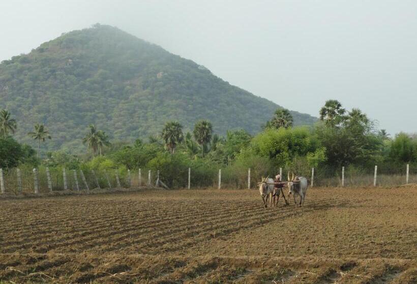 Отель Nannilam Organic Farm Stay