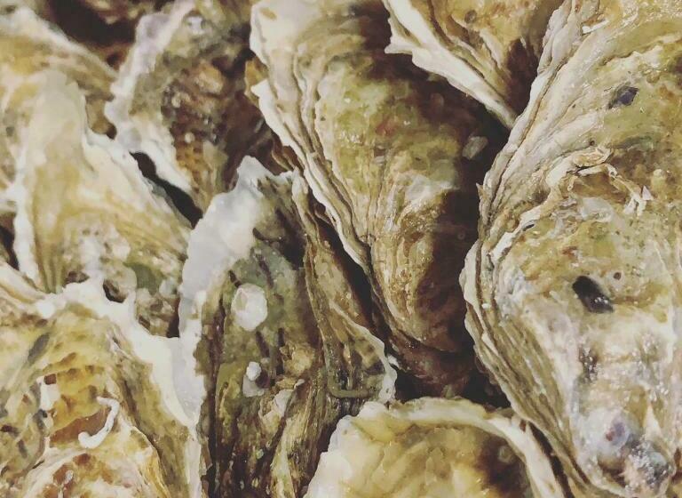 酒店 Tetto Delle Marche   Ristorante Dei Conti