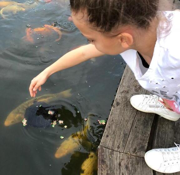 István Parkhotel és Gasztrofarm