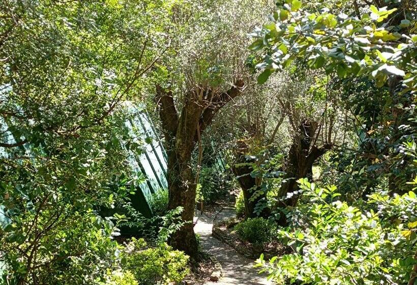 La Francesca Sud Un Villaggioglamping