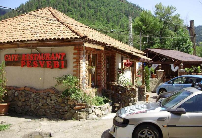 پانسیون Apartment On Erekle 25a