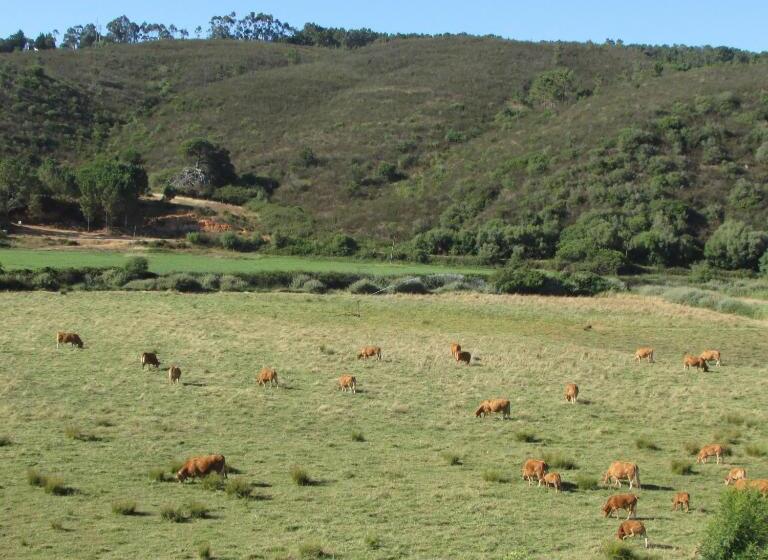 پانسیون Hospedaria Firmino Bernardino