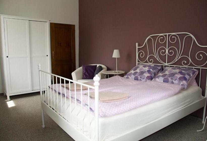 بنسيون Penzion Zámek Rozsochatec