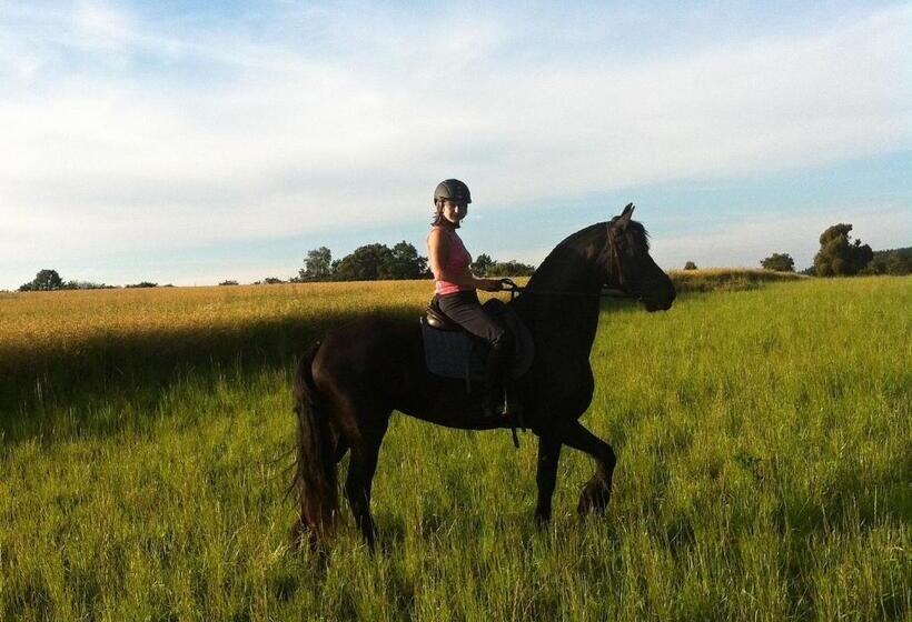 بنسيون Penzion Zámek Rozsochatec