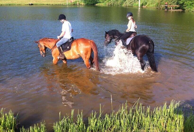 بنسيون Penzion Zámek Rozsochatec