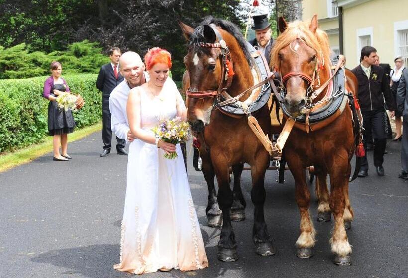 بنسيون Penzion Zámek Rozsochatec