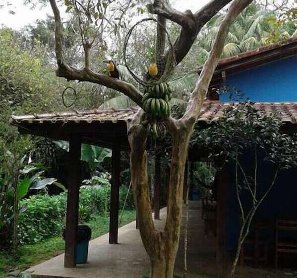 펜션 Pousada E Camping Rupestre