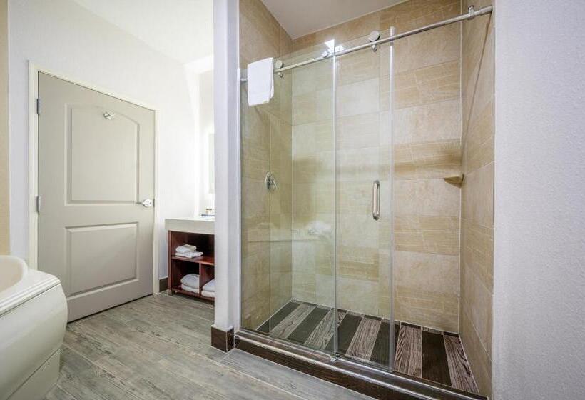 The Leo Collection Detroit, Ascend Hotel Collection