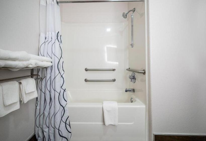 The Leo Collection Detroit, Ascend Hotel Collection