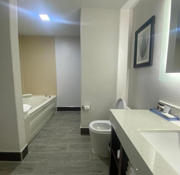 The Leo Collection Detroit, Ascend Hotel Collection