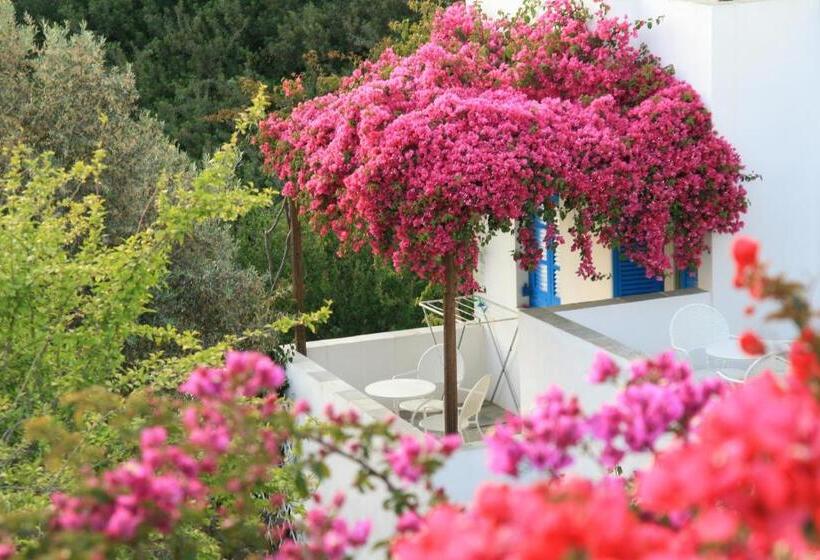 Alexandros Hotel