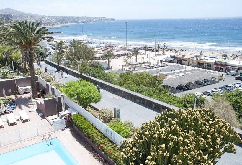 Apartamentos El Paseo