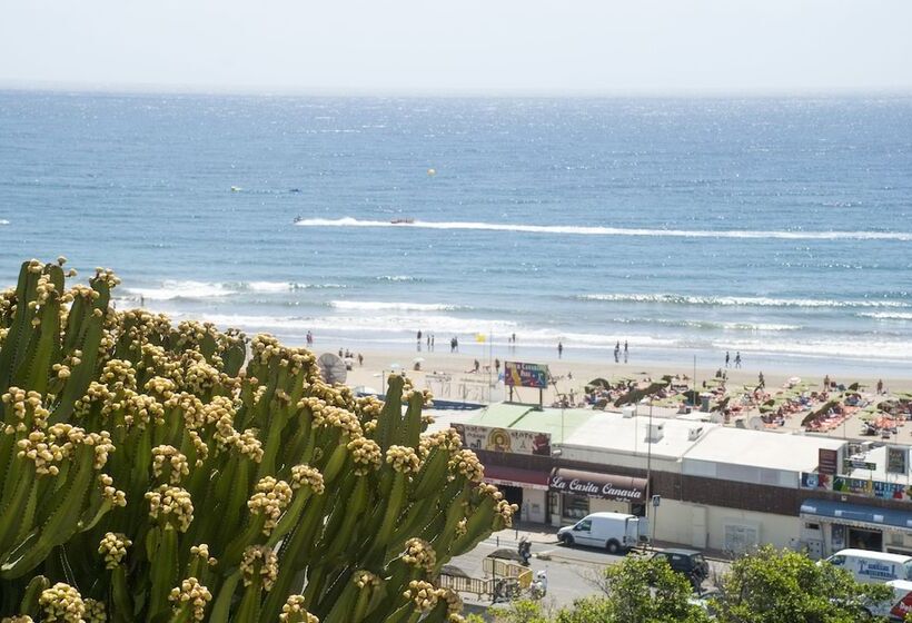 Apartamentos El Paseo