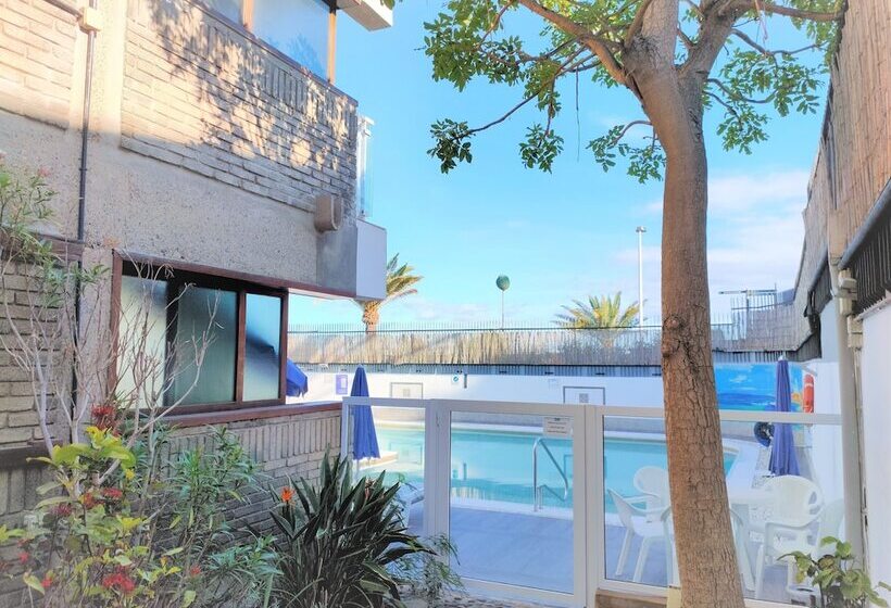 Apartamentos El Paseo