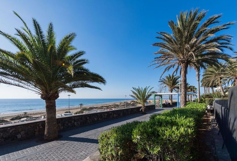 Apartamentos El Paseo