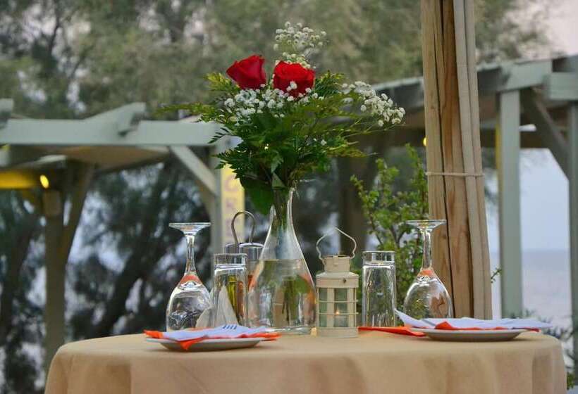 Elixir Del Mar On The Beach