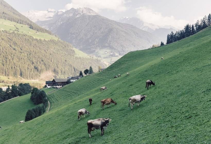 בית מלון כפרי Alpenpalace Luxury Hideaway & Spa Retreat