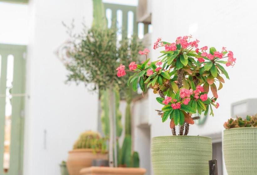 酒店 Anthos Apartments