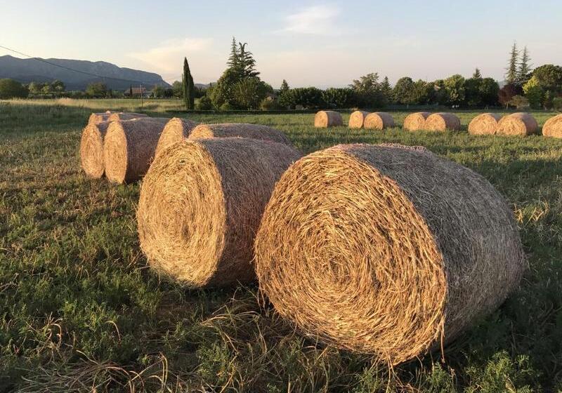 Apparthotel Séjours & Affaires Manosque