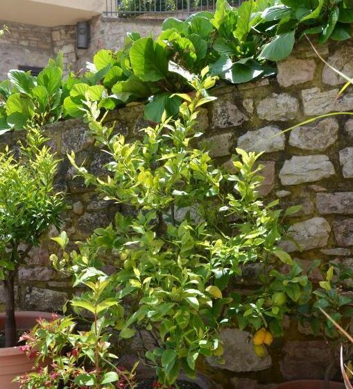 فندق B&b La Terrazza Del Subasio