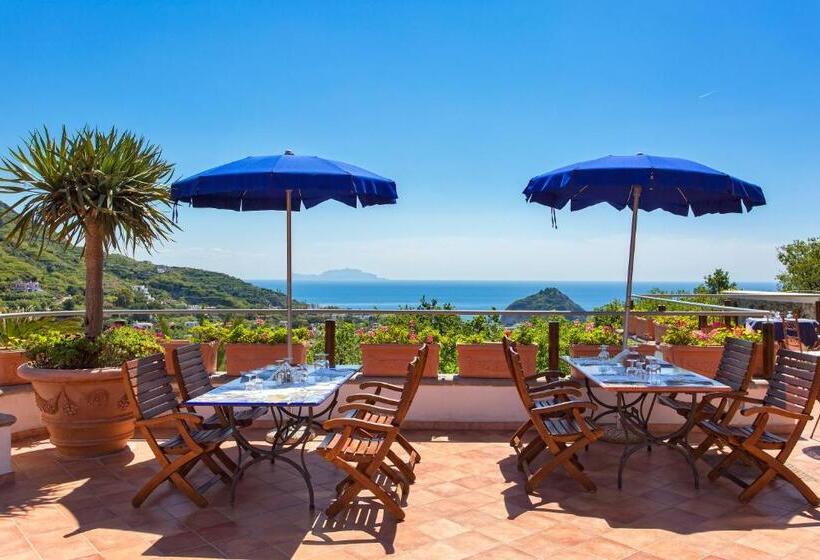 Отель Belvedere