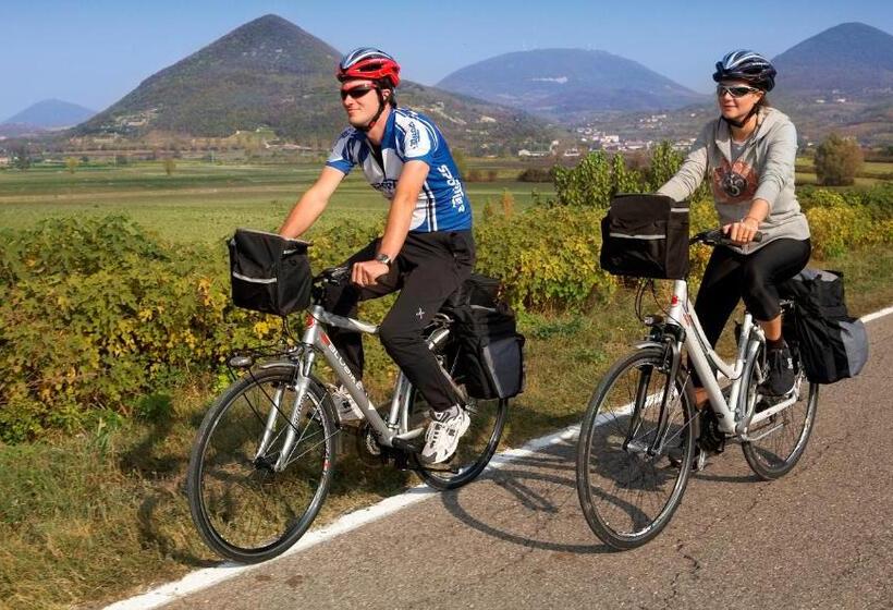 Отель Eliseo Terme