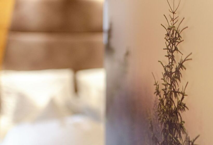 בית מלון כפרי Faloria