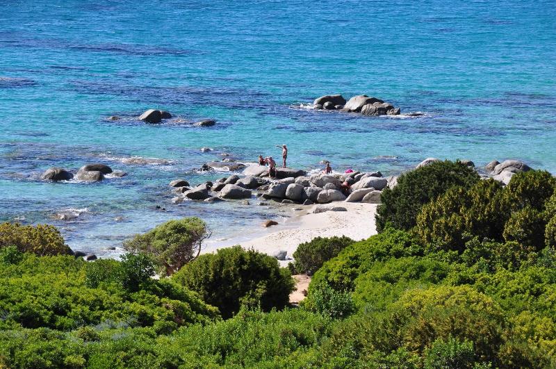 酒店 Green Village Resort