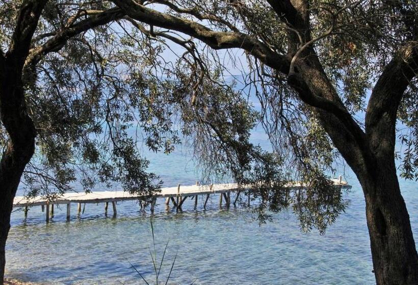 호텔 Helios Splendid