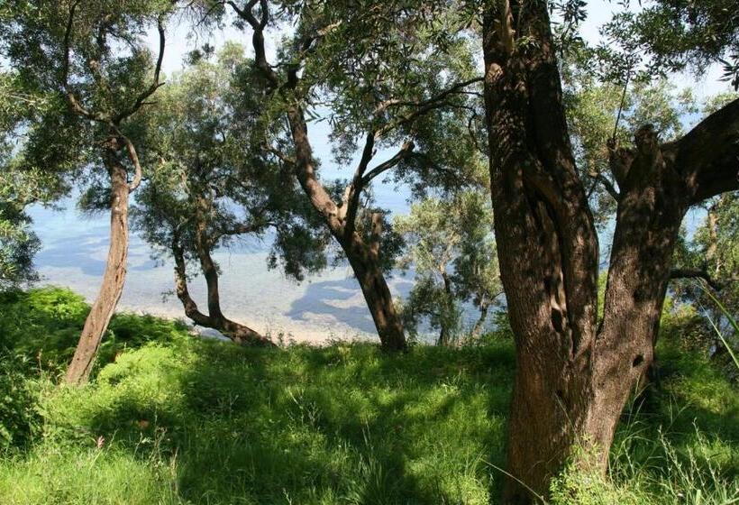 호텔 Helios Splendid