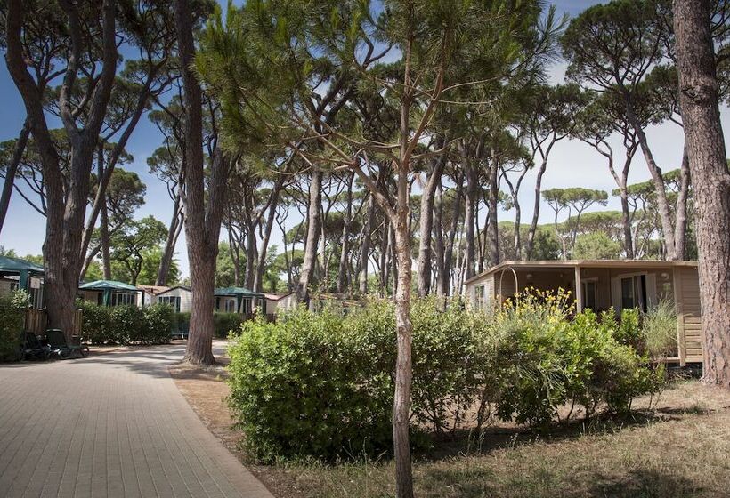 호텔 Hu Park Albatros Village