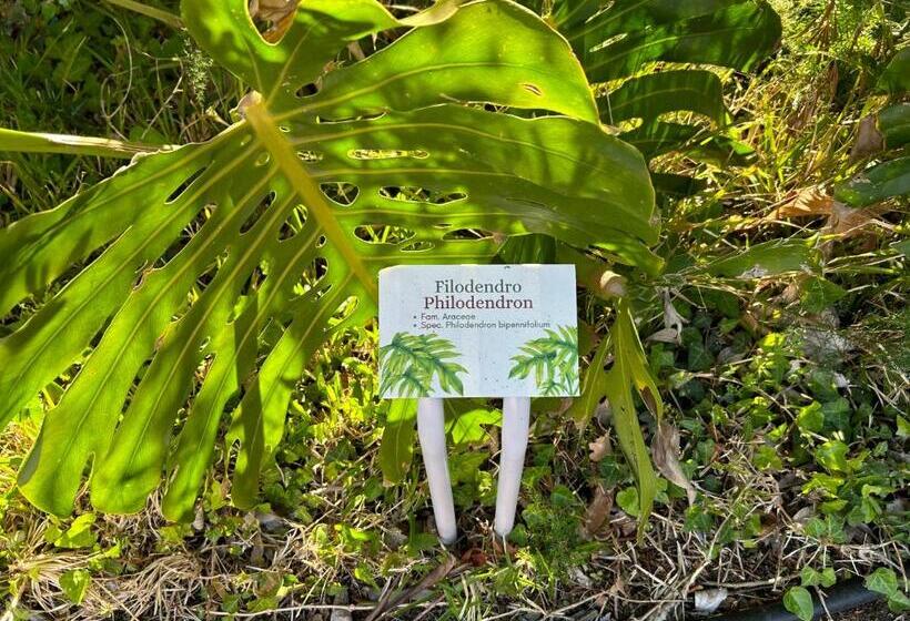 בית מלון כפרי Ibis Styles Catania Acireale