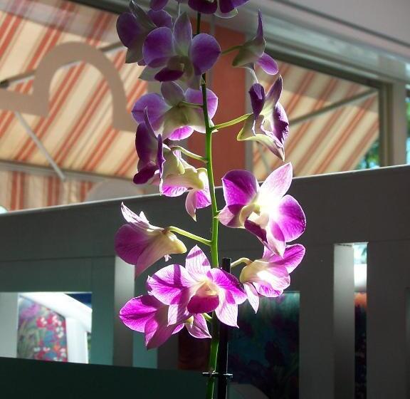 Отель Imperiale