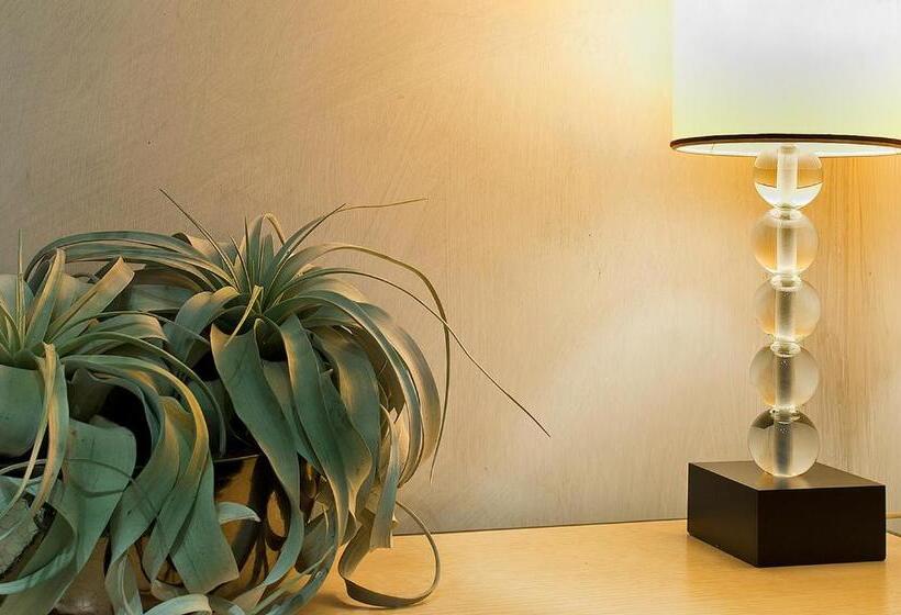 בית מלון כפרי Intown Luxury House