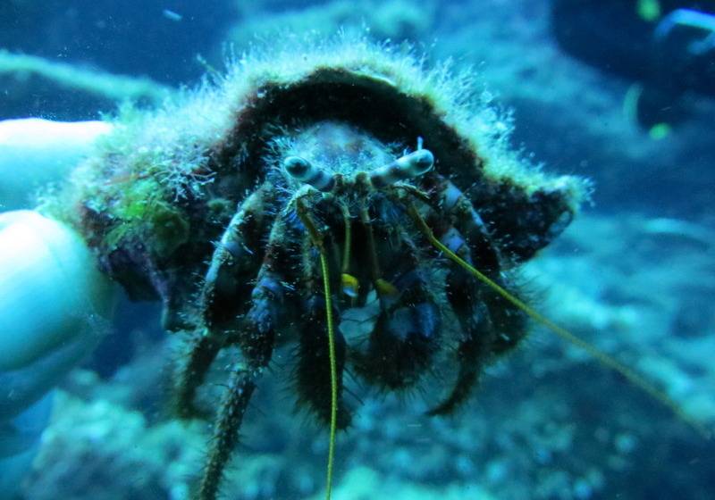 فندق Kerveli Village