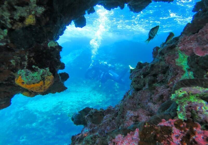 فندق Kerveli Village