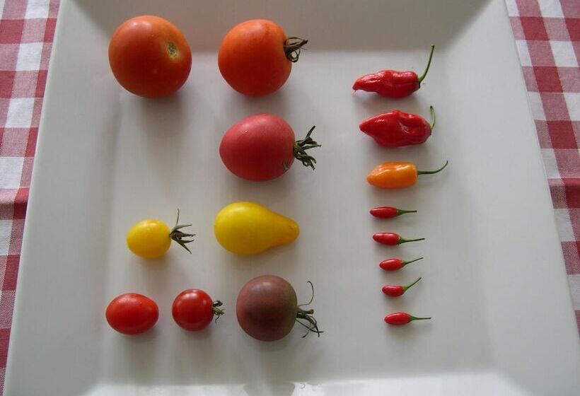 בית מלון כפרי Locanda La Pieve