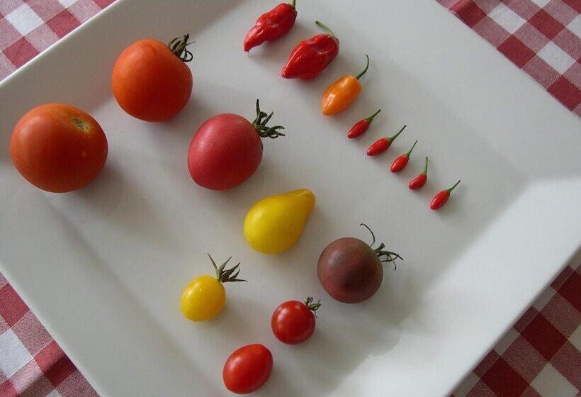 בית מלון כפרי Locanda La Pieve