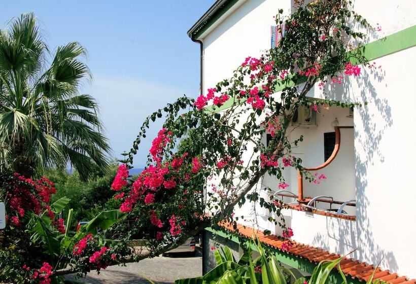 בית מלון כפרי Marinella