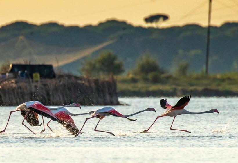 בית מלון כפרי Meridiana Family & Nature