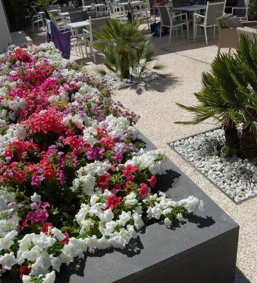 בית מלון כפרי Nettuno