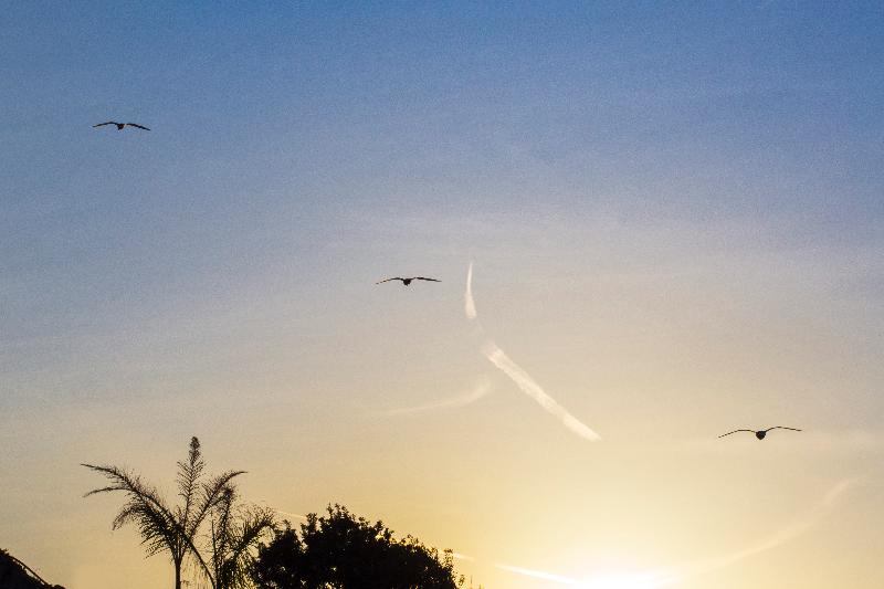 酒店 Pagoda Lifestyle