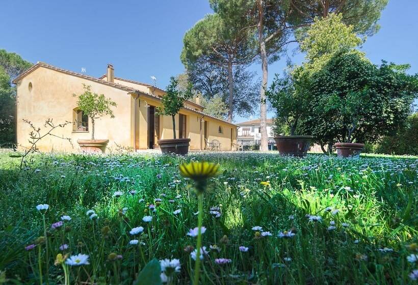 酒店 Pisa Holidays