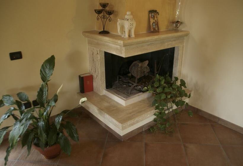 酒店 Pisa Holidays