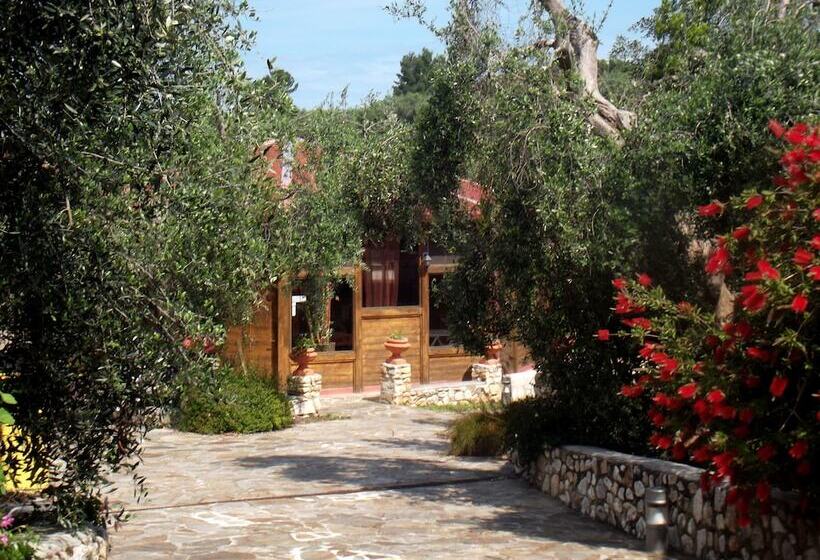 فندق Poggio Degli Ulivi